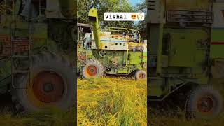 Vishal 💯🙏combine combineharvester ytshorts khetibadi viralvideos jattfarming kisanlife [upl. by Plume]