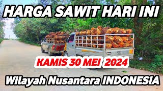 HARGA SAWIT HARI INI TERBARU 30 MEI 2024 Wilayah Daerah Nusantara INDONESIA [upl. by Stoughton]