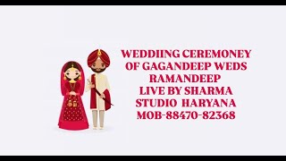 WEDDIING CEREMONEY OF GAGANDEEP WEDS RAMANDEEP LIVE BY SHARMA STUDIO MOB88470823689779182100 [upl. by Gautea]