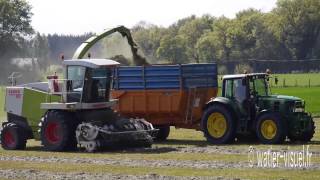 Chantier densilage de dactyle avec une ensileuse Claas Jaguar 860 [upl. by Jimmie]