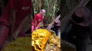 AMAZING WORKERS SKILLS DIGGING GOLD NUGGETS shortvideo trendingshorts metaldetecting water [upl. by Tonina]