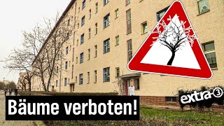 Realer Irrsinn Keine BÃ¤ume wegen Denkmalschutz  extra 3  NDR [upl. by Bourne]