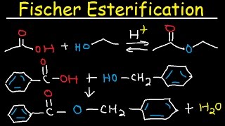 Fischer Esterification Reaction Mechanism  Carboxylic Acid Derivatives [upl. by Ecerahs]