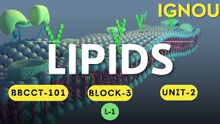 L1 LIPIDS  BBCCT101 Block3 Unit10  IGNOU BSC Biochemistry [upl. by Myrwyn239]