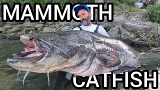 Fishing mammoth 220 pound Fish with a short rod by Catfish World [upl. by Nnahgem]