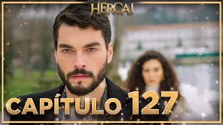 Hercai  Capítulo 127 [upl. by Ammon327]