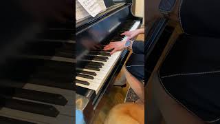 Pass It On Judy Bailey piano Sadee the Golden Retriever [upl. by Fischer649]