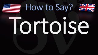 How to Pronounce Tortoise CORRECTLY [upl. by Fineman794]