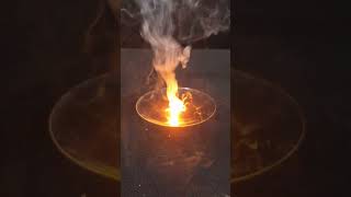 White phosphorus Reactions seriesexperiments science chemistry isro scienceexperiments [upl. by Kutzer]