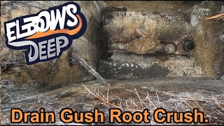 Drain gusher and the root cutter [upl. by Waylon]