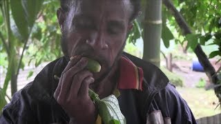 Betel Nut Papua New Guinea e1 part1 TEXANVSTHEWORLD [upl. by Zilber814]