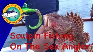 Sculpin Fishing In The Sea Angler  Sport Fishing With Dan Hernandez [upl. by Ostap]