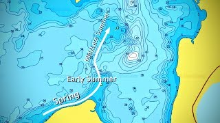 Walleye Movement Explained Map Example [upl. by Everest615]