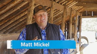 The Racewell HD4 Sheep Handler in Utah USA  Matt Mickel [upl. by Nosreme418]