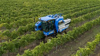 Vendanges 2020 en CharenteMaritime [upl. by Elokkin]