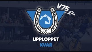 V75TIPS  UPPLOPPET KVAR  UMEÅ 135 2023  TRAVSTUGANSE 2 [upl. by Drewett]