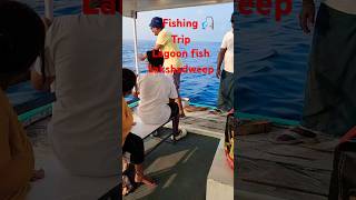 Fishing trip lakshadweepislands travel ocean holiday lakshadweep marinetourism oceanholiday [upl. by Pasahow]