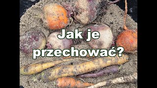 Jak przechować warzywa korzeniowe  metoda z piaskiem [upl. by Yot]