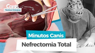 Nefrectomia Total  Minutos Canis  Técnicas Cirúrgicas [upl. by Torray]