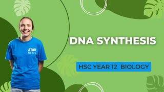 DNA Synthesis  HSC Year 12 Biology [upl. by Lennahc]