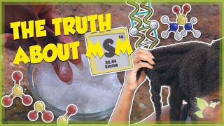 The truth about MSM Does it really make your hair grow [upl. by Llerol866]