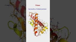 Viroid ll Prions ll Class 11 ll Biology [upl. by Gyasi]