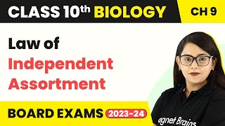 Class 10 Biology Chapter 9  Mendel’s Findings Law of Independent Assortment [upl. by Jecho333]