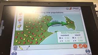 KS5ALEVELBIOLOGYPatterns of InheritanceThe founder effect [upl. by Enneiluj]