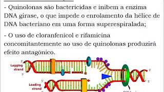 Farmacologia Veterinária  Antibióticos [upl. by Ettelohcin172]