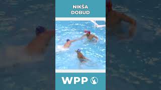 Epic Water Polo Goals by Niksa Dobud shorts waterpolo vaterpolo pallanuoto vizilabda sport [upl. by Aryaz805]