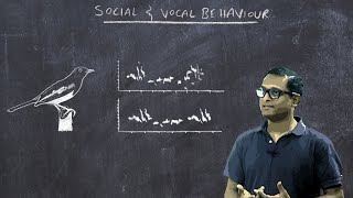 Basic Ornithology Social and Vocal Behaviour [upl. by Adnirak813]