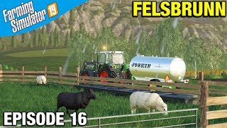 Farming Simulator 19 Timelapse  Felsbrunn FS19 Episode 16 BUYING SHEEP [upl. by Whatley]