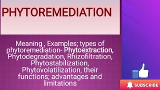 Phytoremediation Types of Phytoremediation Advantages and Limitations [upl. by Ripley]