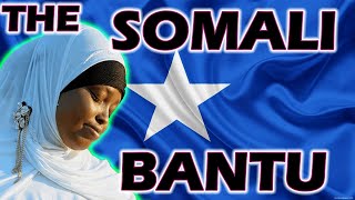 THE SOMALI BANTU PEOPLE  10 SHOCKING FACTS [upl. by Hctim]