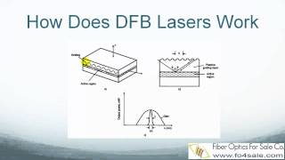 What is a DFB Laser [upl. by Aisaim445]