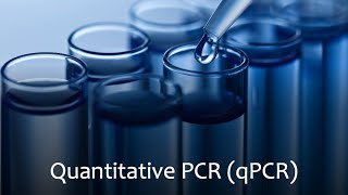 Quantitative Polymerase Chain Reaction qPCR [upl. by Yrelbmik669]