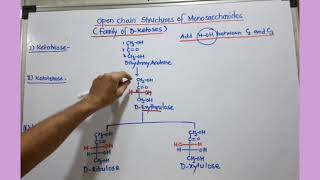 Open Chain Structures of Monosaccharides Family of DKetoses [upl. by Shakti600]