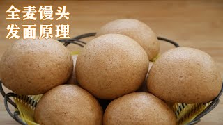 全麥饅頭正宗做法，詳細講解全麥麵粉發麵原理，看一遍就學會 Whole wheat buns [upl. by Haidebej]