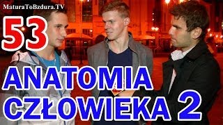 ANATOMIA CZŁOWIEKA CZĘŚĆ 2  ODCINEK INTERAKTYWNY 53 [upl. by Evangeline298]