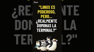 Linux ¿Dominas la terminal linux viralvideo desarrollodesoftware programación tecnologia [upl. by Beasley]