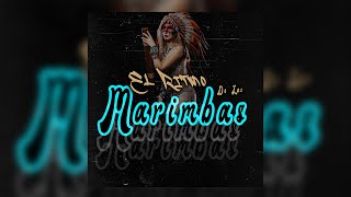 EL Ritmo De Las Marimbas DJ Monst3r5 Gogueo 2021 Kury guaracha [upl. by Waite]