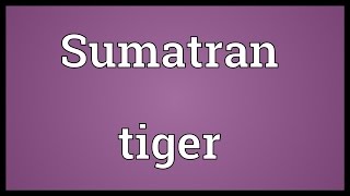 Sumatran tiger Meaning [upl. by Ydualc]