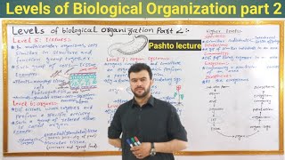 Levels of biological organization in pashto part 2  class 9 biology chapter 1 Introduction to bio [upl. by Molton]