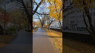 Basel’s Golden Secrets A Walk Through Time 🍂✨ shorts walking basel switzerland [upl. by Nilo]