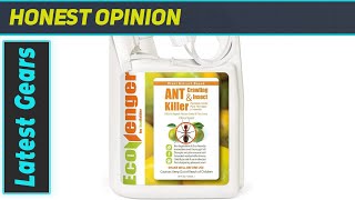 EcoRaider Ant Killer Ultimate Insect Eliminator [upl. by Rotsen]