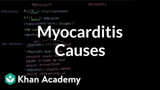 Causes of myocarditis  Circulatory System and Disease  NCLEXRN  Khan Academy [upl. by Stu]