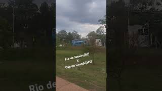 Andorinha em Campo GrandeMS onibus campograndems passeiodeonibus [upl. by Adiaj]