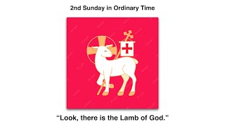 Behold the Lamb of God Homily for the 2nd Sunday of Ordinary Time Year B [upl. by Darryl390]