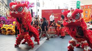 2020 World Dragon amp Lion Dance Day 世界龍獅日  Pavilion Kuala Lumpur [upl. by Sands]