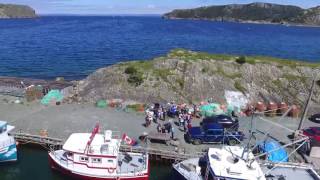 Brigus Newfoundland  via Drone [upl. by Haroun234]